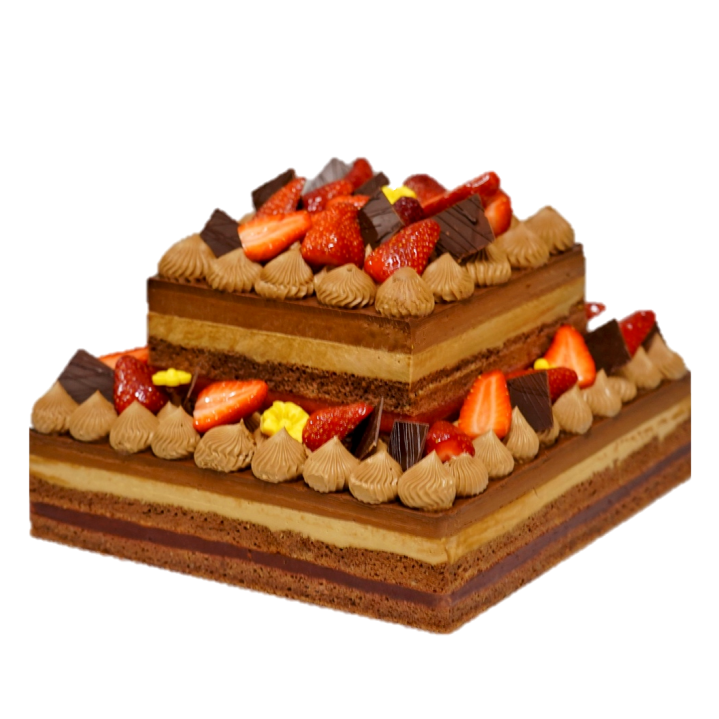 Choco & Choco Double Layer Cake